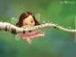 Belinda's picture