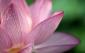 empath's picture