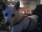 malagadoll's picture