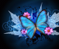 saphire1's picture