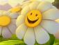 flowers's picture